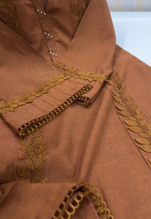 02-Piece Stitched Karandi Premium Collection