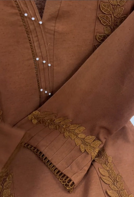 02-Piece Stitched Karandi Premium Collection